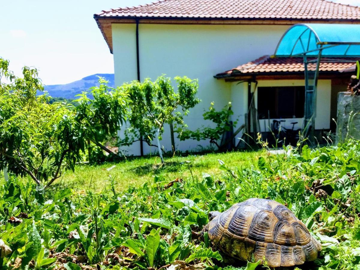 Mihaela Lake Retreat Yuvalar المظهر الخارجي الصورة